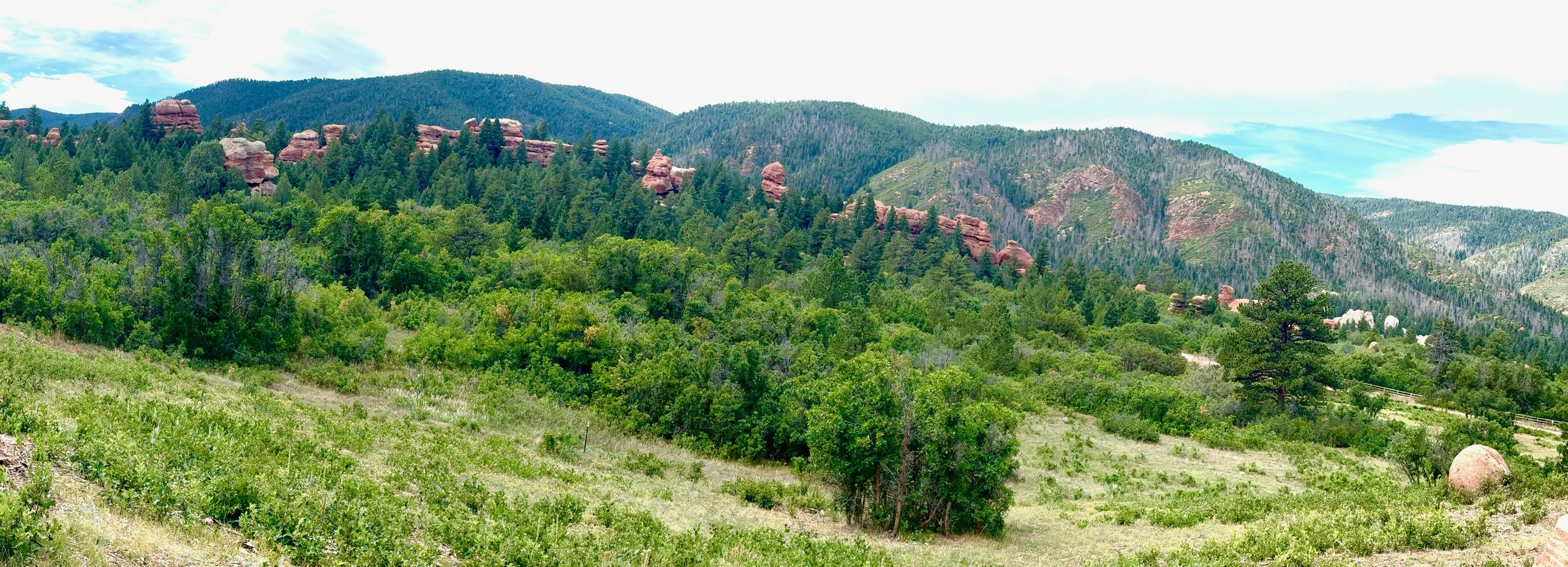 Red sandstone rock formations rising above evergreen forest in the Colorado foothills